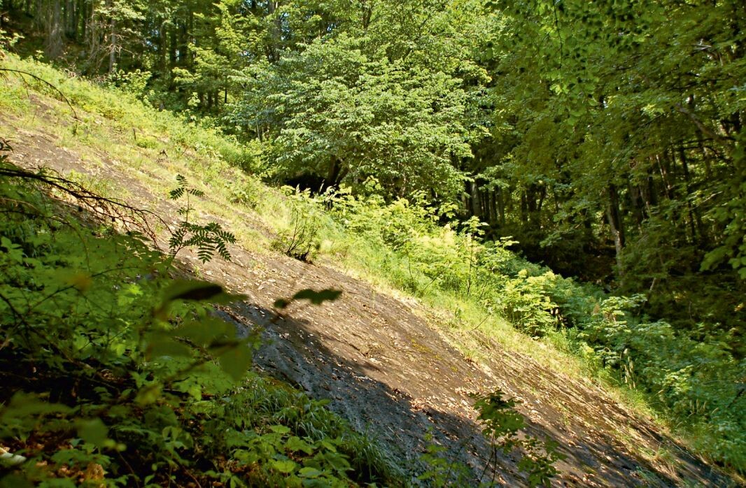 vychylovske skalie