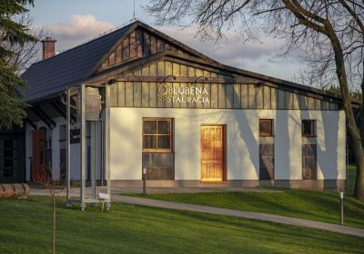 restauracia_stara_bystrica_007