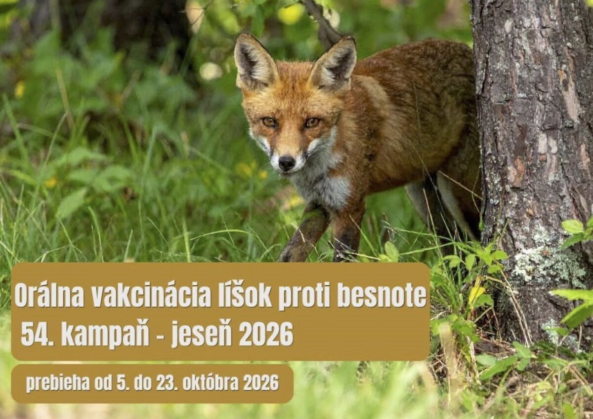 vakcinacia lisok2026
